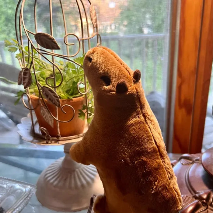 CapybaraPlush - 67% OFF Today Only